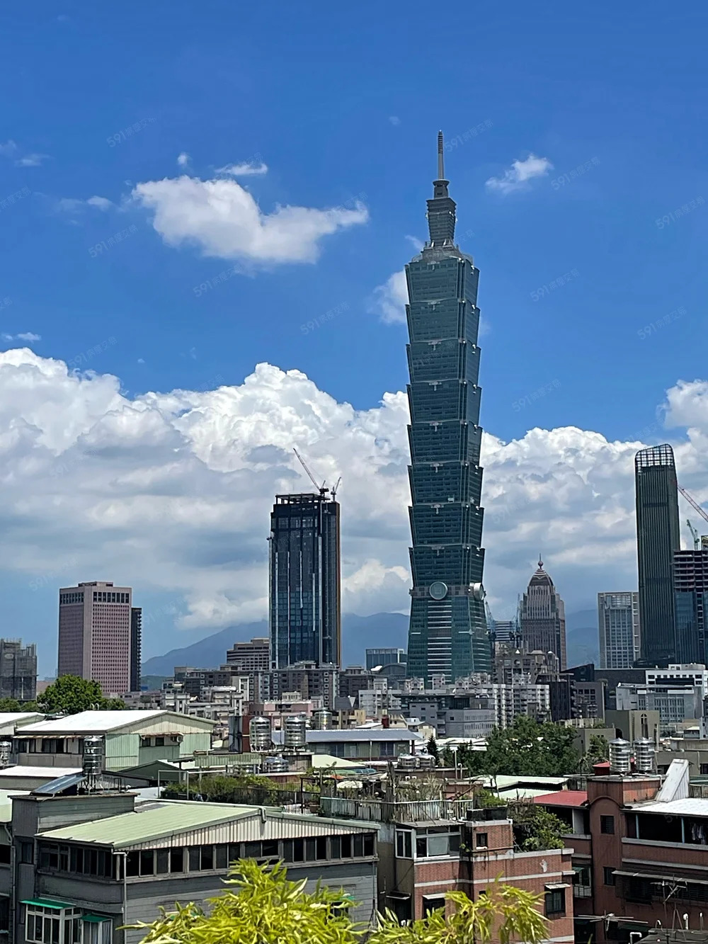 信義ＣＡＳＡ　優質豪宅　可養貓咪 - 3
