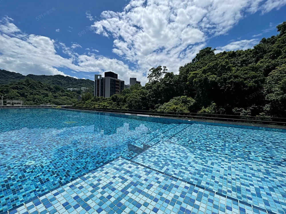 信義ＣＡＳＡ　優質豪宅　可養貓咪 - 5