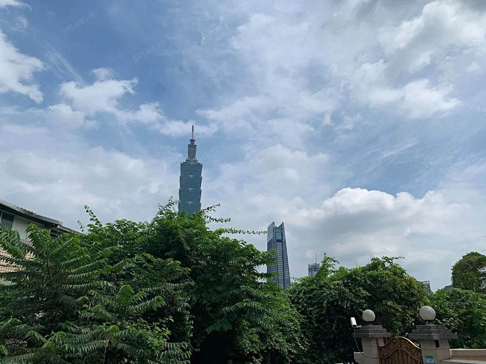 101/世貿/象山捷運站 優質整層 可養寵物 - 6