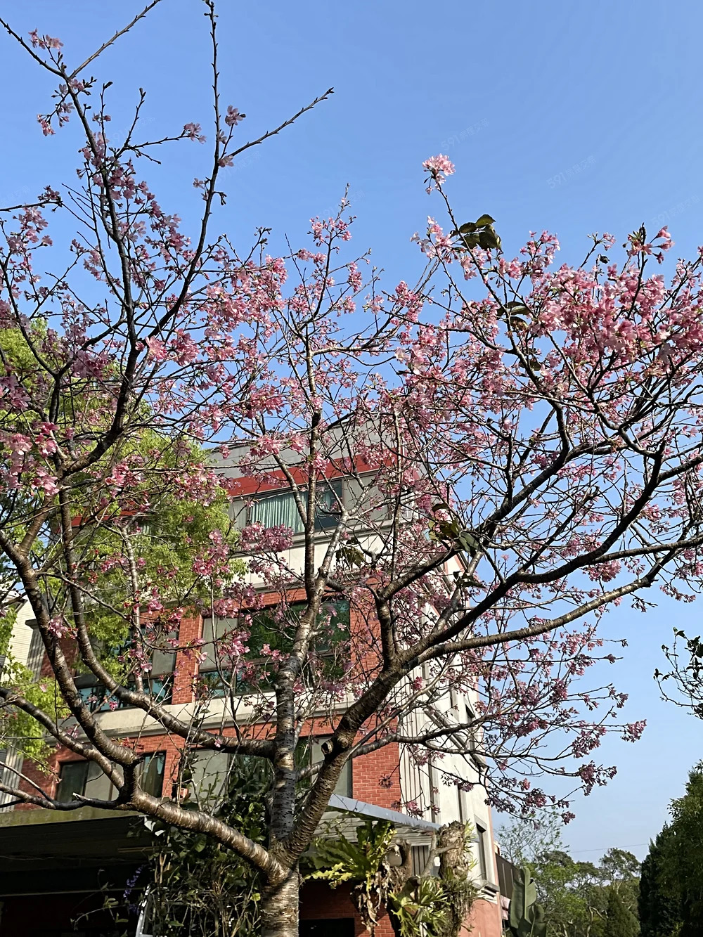 頂級莊園出租 - 9
