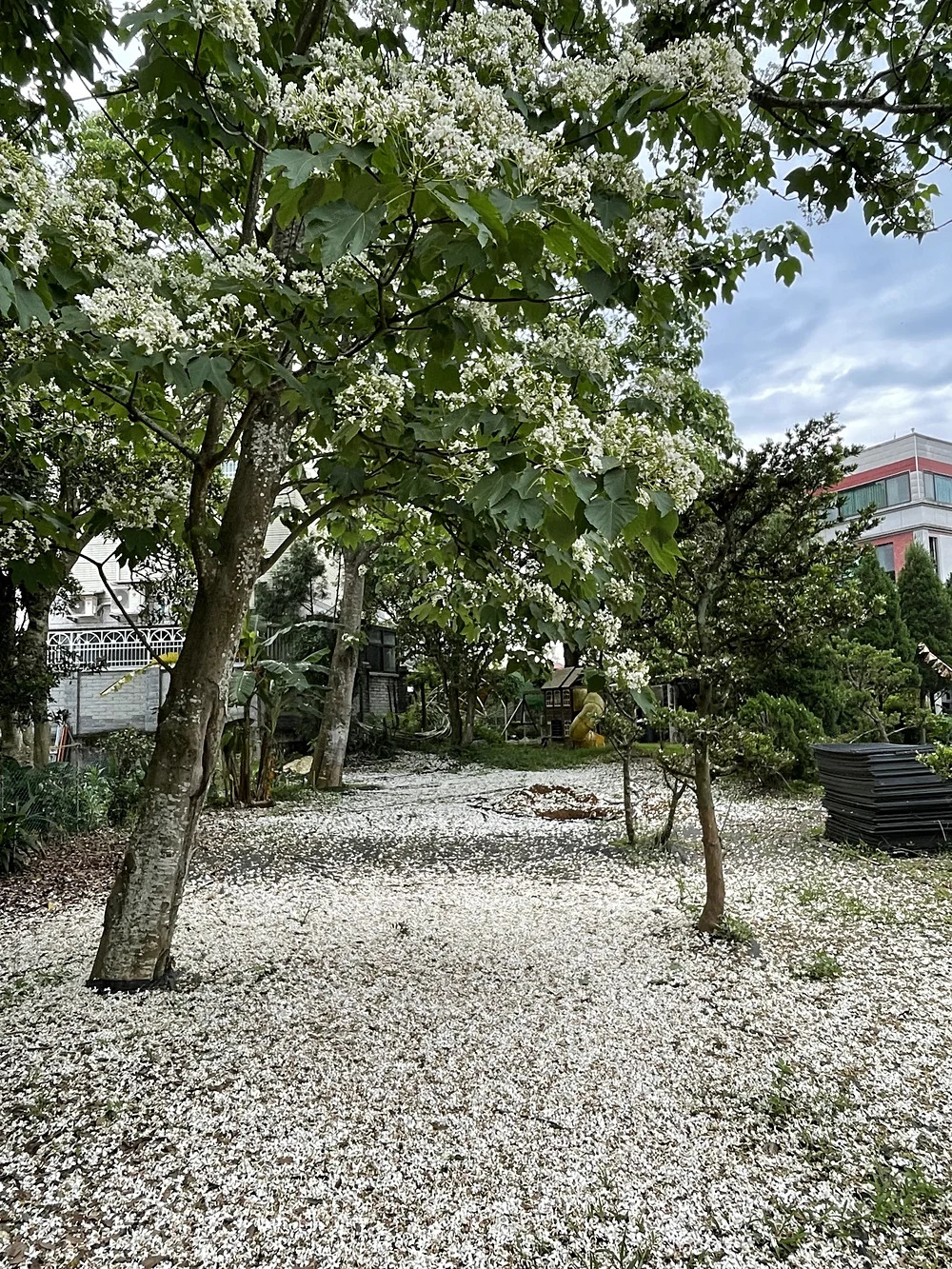 頂級莊園出租 - 7