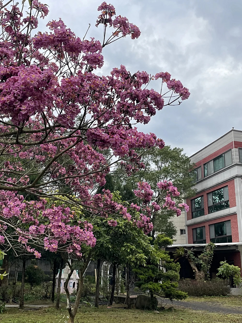 頂級莊園出租 - 3
