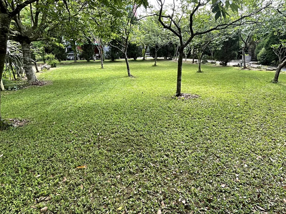 頂級莊園出租 - 2