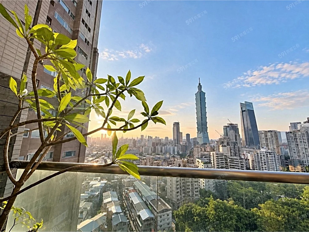 雲頂大樓 優質社區 信義區 可以養寵物 - 12