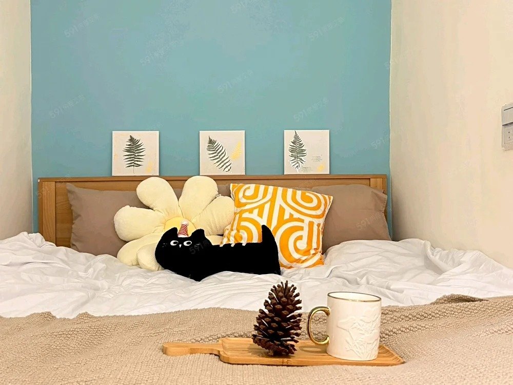 三民高中捷運站&徐匯中學捷運站/雙租補/可養貓咪/代收垃收 B3房 最後一間就滿租了