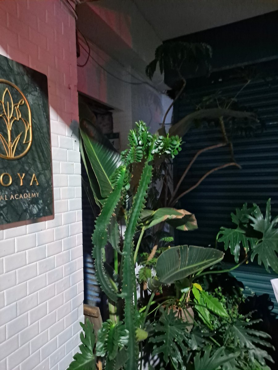 南港展覽館公寓大房